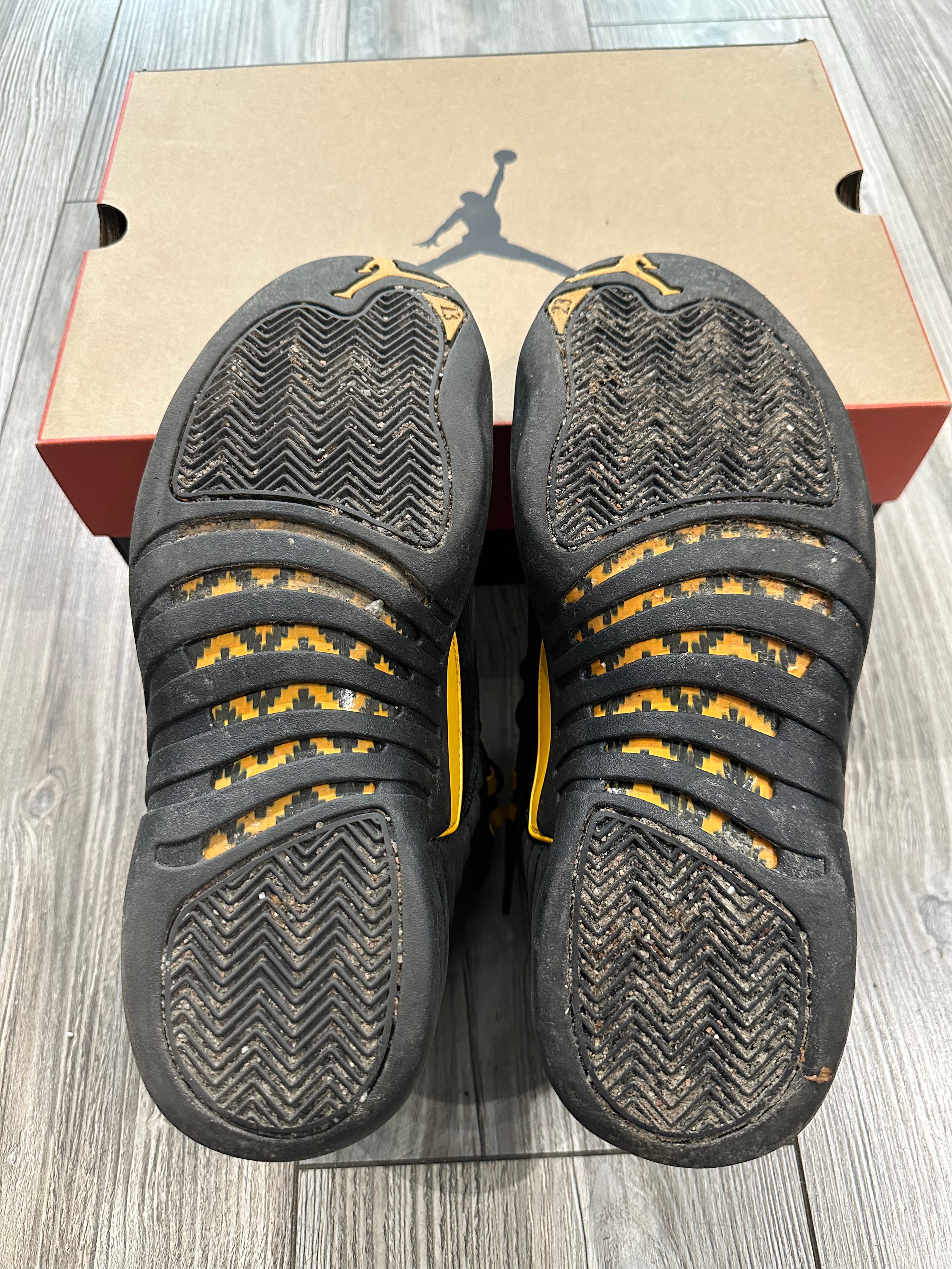 Jordan 12 (EU 44)