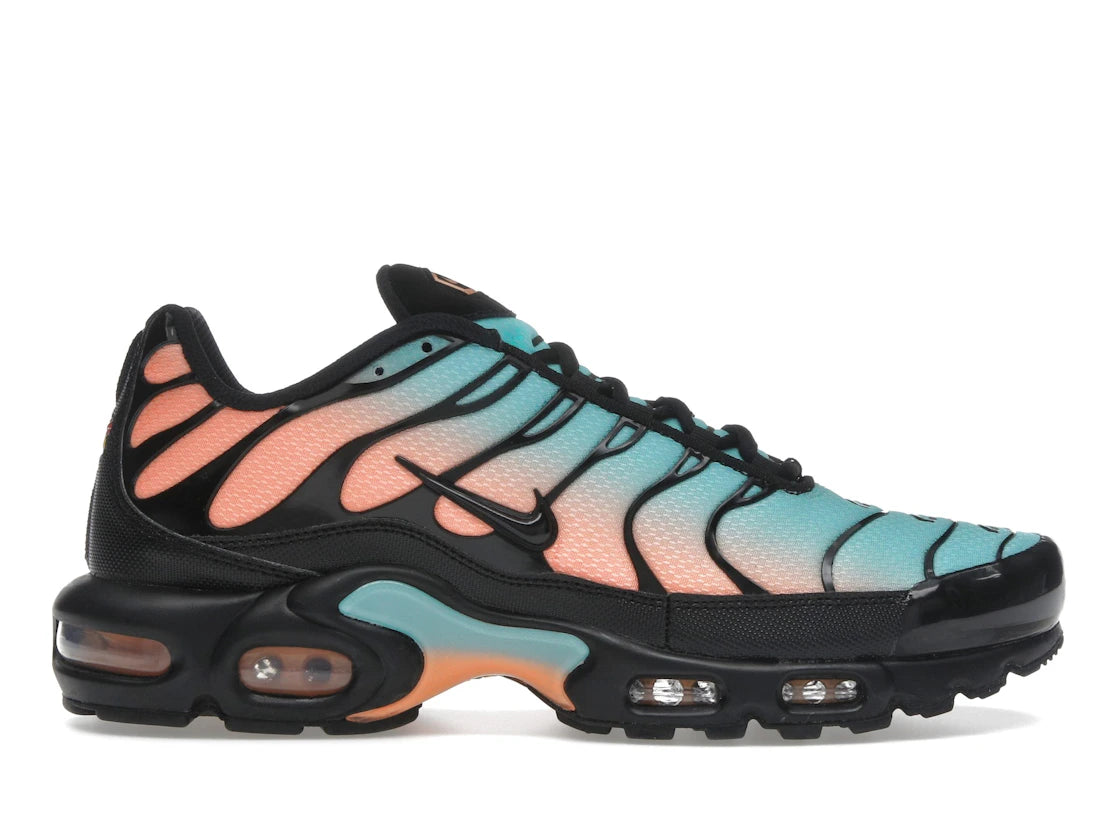 Nike Air Max Plus South Beach