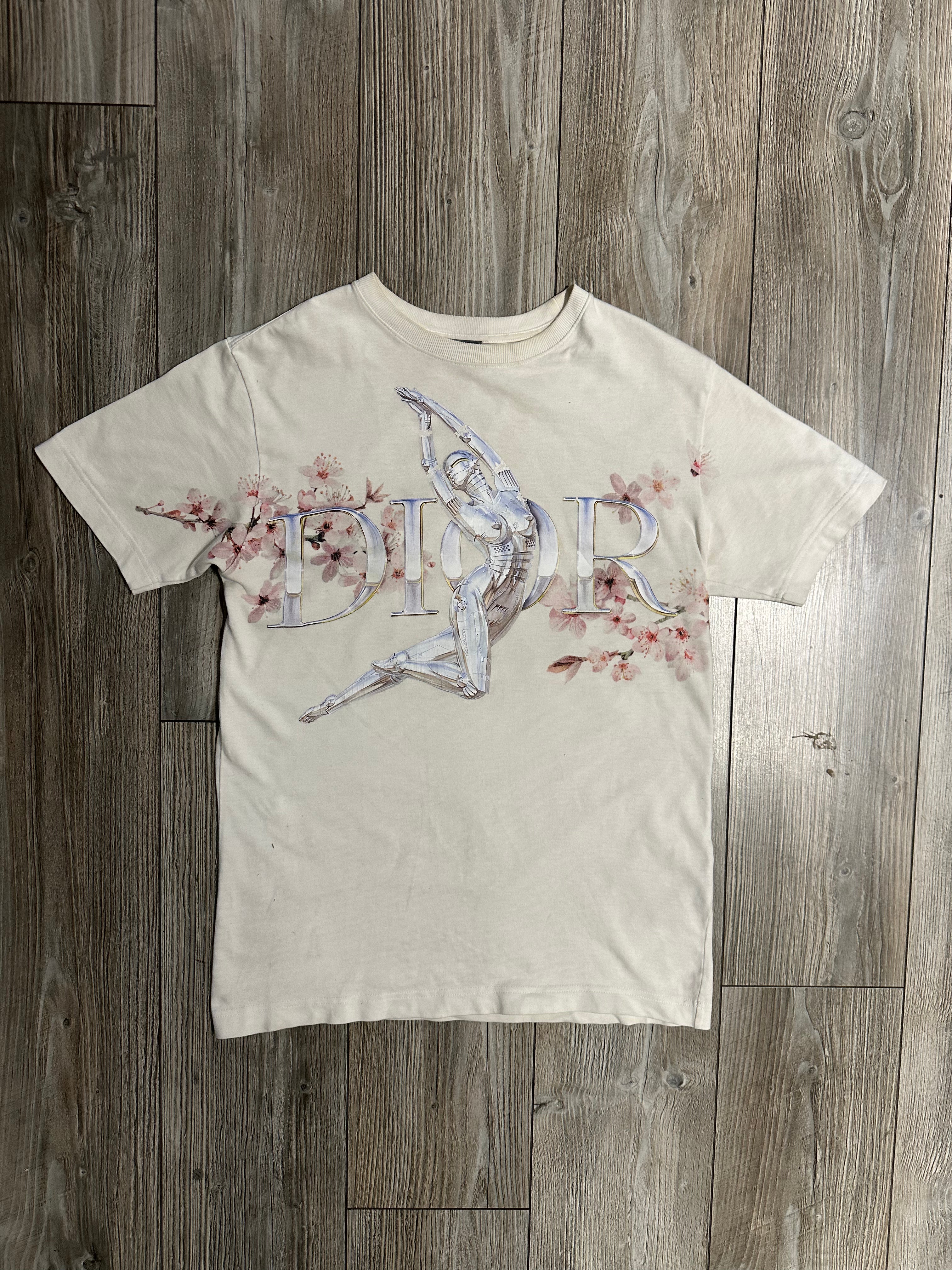 Dior T-Shirt (Fittaa M)