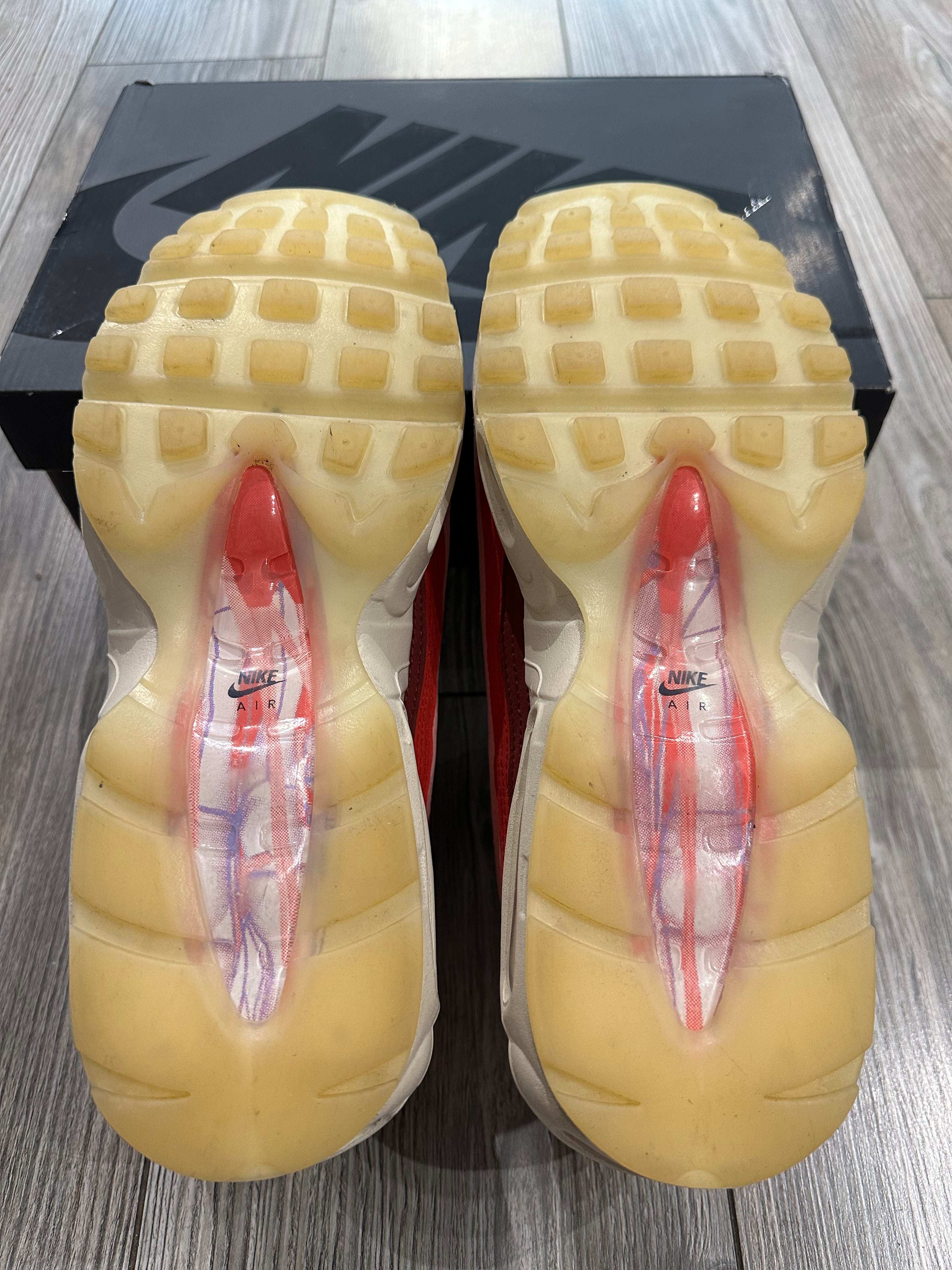 Nike Air Max 95 Anatomy (EU 45)