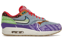 Nike Air Max 1 SP Concepts Far Out