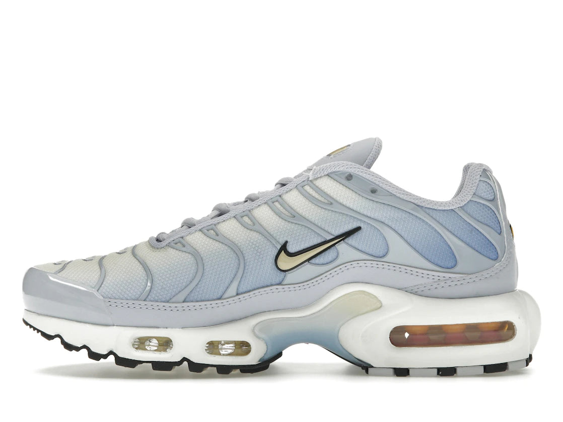 Nike Air Max Plus Daybreak (Women's)